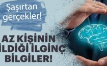 İnternetteki İlginç Bilgiler